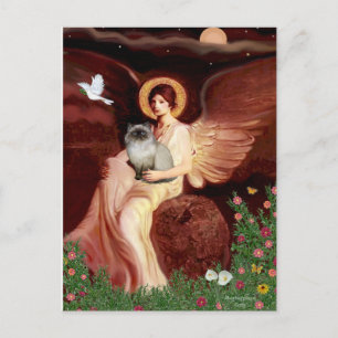 Cartão Postal Sentado Angel - Himalaia gato 7