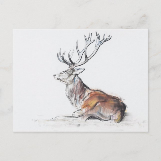 Cartão Postal Sentado em 2006 (Frente)