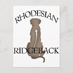 Cartão Postal Sentando Ridgeback da Rodésia com Texto