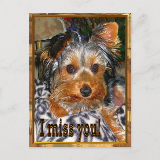 Cartão Postal Sente falta de você (Frente)