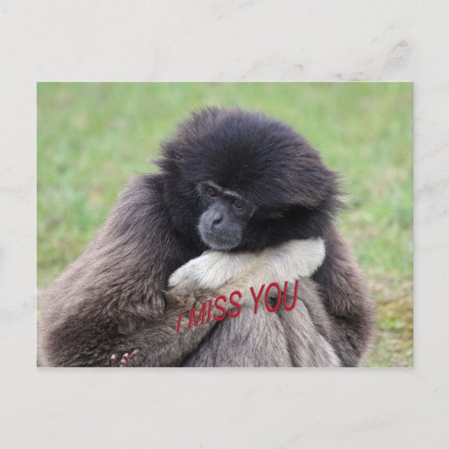 Cartão Postal sente saudades (Frente)