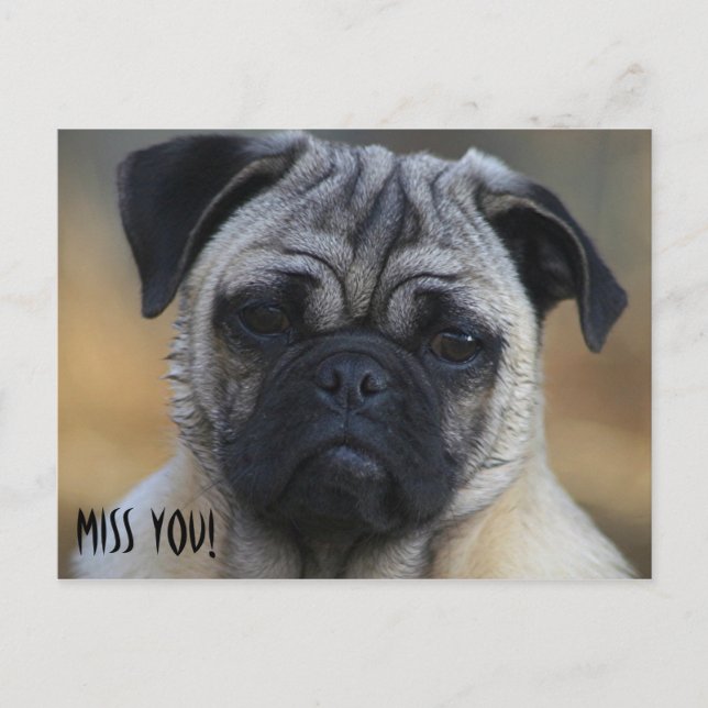 Cartão Postal Sente sua falta! (Frente)