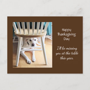 Cartão Postal Sentido Sua Falta, Cachorro Branco Bonito, Ação De