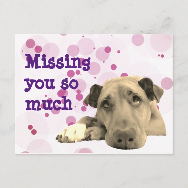 Cartão Postal Sentido sua falta, cão triste (Frente)