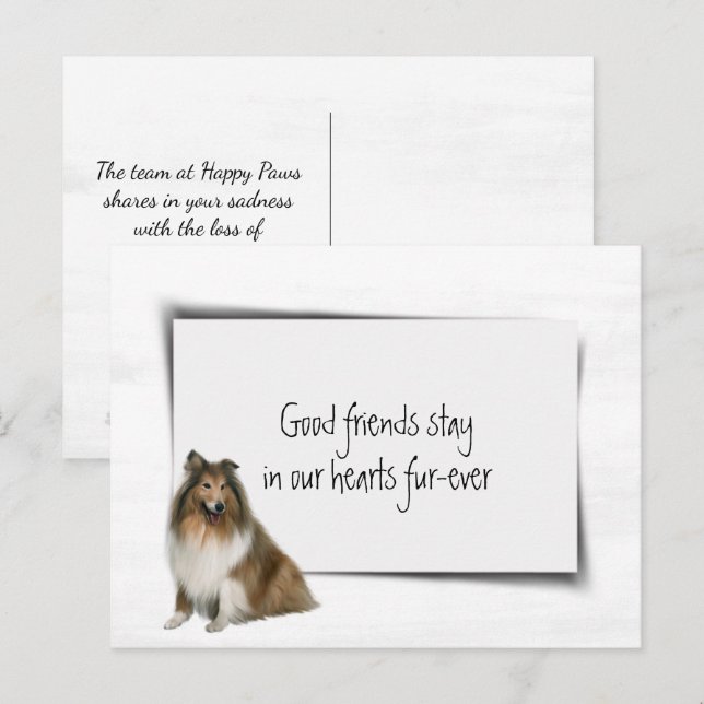 Cartão Postal Sentimento de perda de animal de estimação Collie (Frente/Verso)
