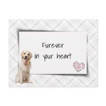 Sentimento de Perda de Animal de Estimação Golden 