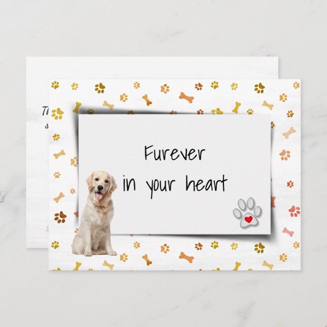 Cartão Postal Sentimento de Perda por Cachorro Golden Retriever (Frente/Verso)