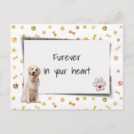 Cartão Postal Sentimento de Perda por Cachorro Golden Retriever