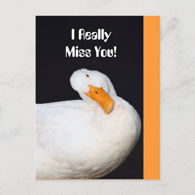 Cartão Postal Sentimo A Sua Falta! Pato branco bonito (Frente)