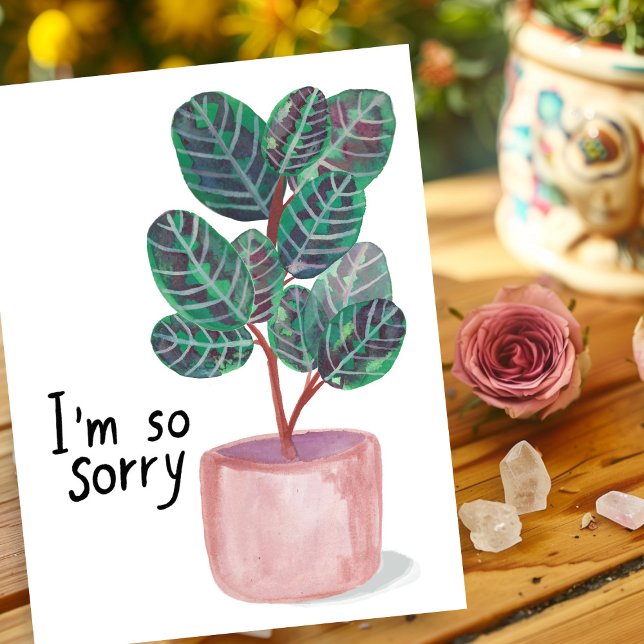 Cartão Postal Sentimos Condolências Calathea Planta da Oração Aq (Sorry Condolences Sympathy Calathea Prayer Plant Watercolor Postcard
)