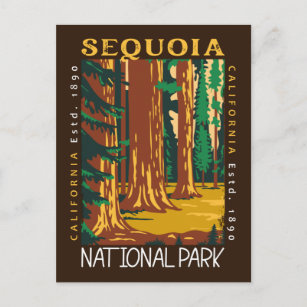 Cartão Postal Sequoia National Park California Retro Distingue