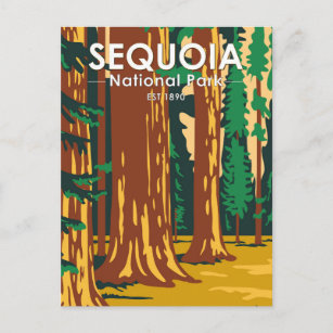 Cartão Postal Sequoia National Park Giant Sequoia Trees Vintage