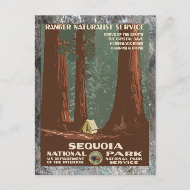 Cartão Postal Sequoia National       ParkVintage viagem (Frente)