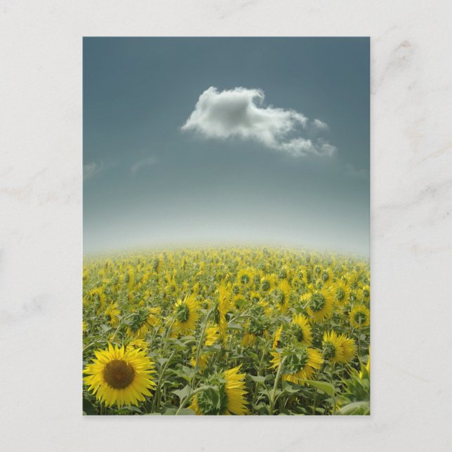 Cartão Postal Ser Exclusivo (Frente)