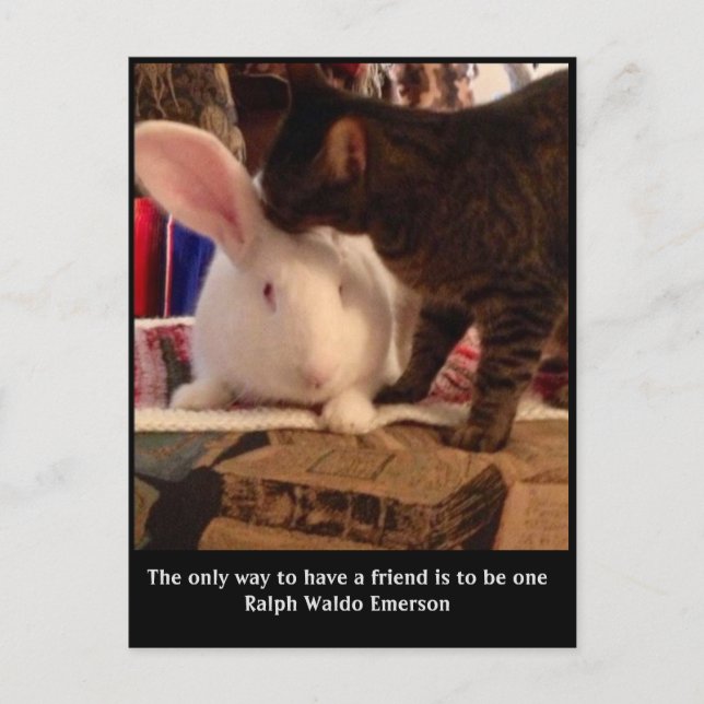 Cartão Postal Ser um Cartão-Postal Amigo (Frente)