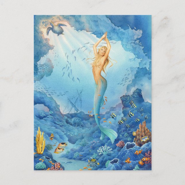 Cartão Postal Sereia e golfinhos por Scot Howden (Frente)