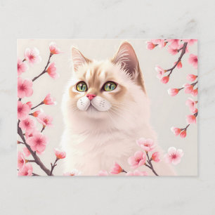 Cartão Postal Serene Birman Cat Portrait Com Blossomas De Cereja
