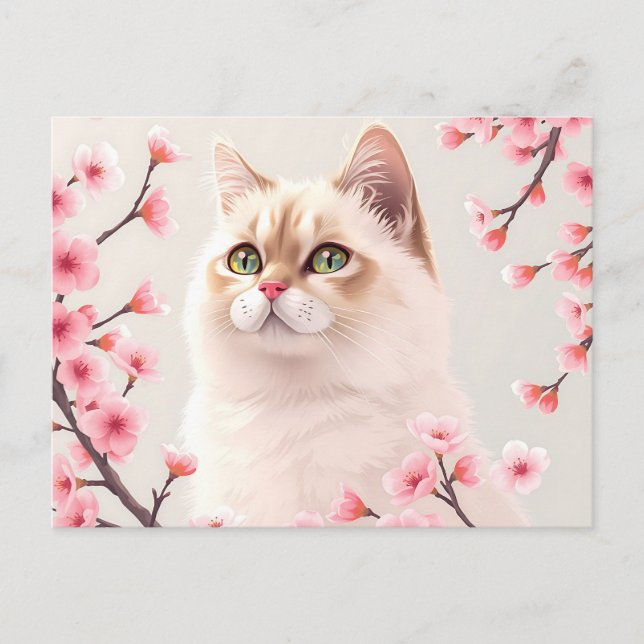 Cartão Postal Serene Birman Cat Portrait Com Blossomas De Cereja (Frente)