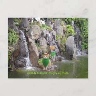 Cartão Postal Serene Bubba