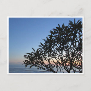 Cartão Postal serene silhouette