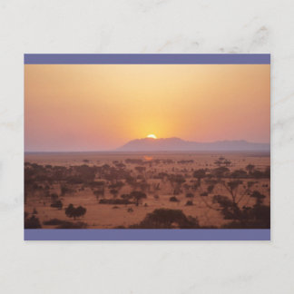 Cartão Postal Serengeti Sunset