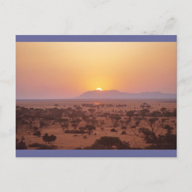 Cartão Postal Serengeti Sunset (Frente)