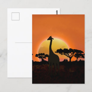 Cartão Postal Serengeti Sunset Giraffe   Safari Wildlife