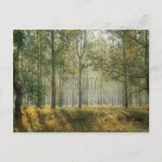 Cartão postal Serenity Nature