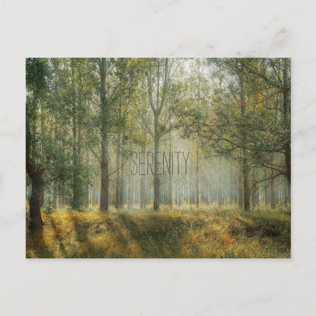Cartão postal Serenity Nature (Frente)