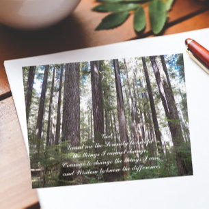 Cartão Postal Serenity Prayer Sunlit Forest Foto