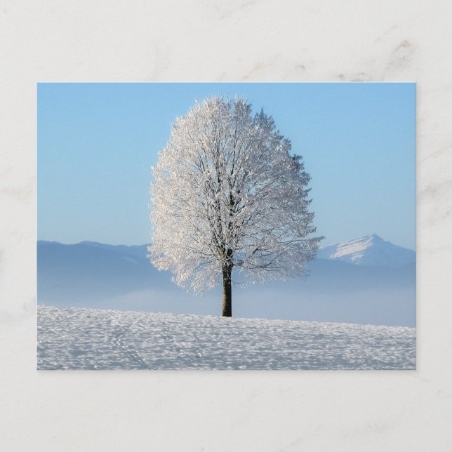 Cartão Postal Serenity Prayer Winter Tree (Frente)