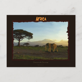 Cartão Postal Série Afro-Elefante