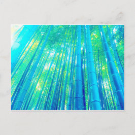 Cartão Postal Série Bamboo Forest
