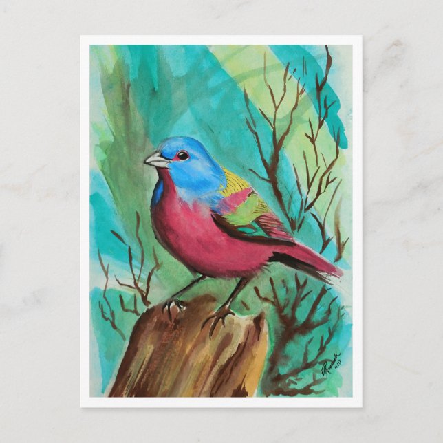 Cartão Postal Série de aves de tartaruga (Frente)