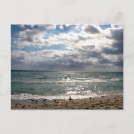 Cartão Postal Série Miami