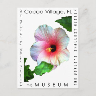 Cartão Postal Série MUSEUM Artist de jGibney Hibiscus1