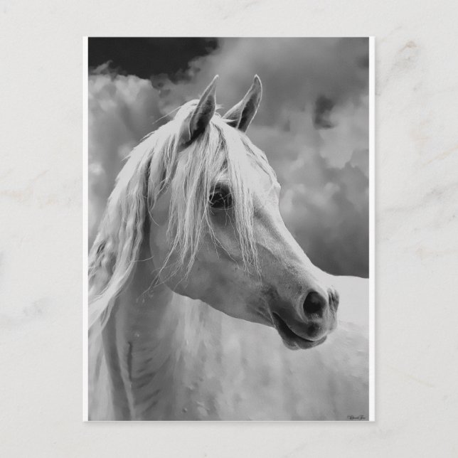 Cartão Postal Serne Composition (Frente)