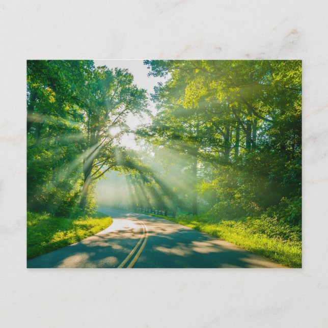 Cartão Postal serras da carolina azul serra montanhas da serra d (Frente)