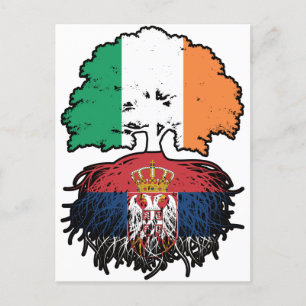 Cartão Postal Sérvia Irlanda, Irlanda, Irlanda, Árvore Bandeira