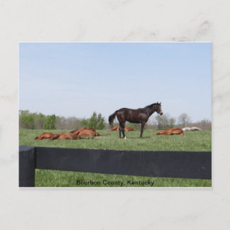 Cartão Postal Serviço de vigilância