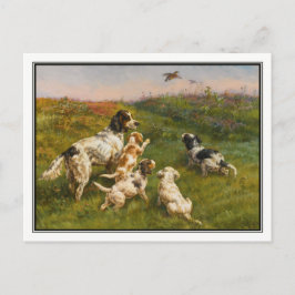Cartão Postal Setter e Pups de Edmund Henry Osthaus