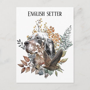 Cartão Postal Setter inglês, Caça à Galinhola, Arte