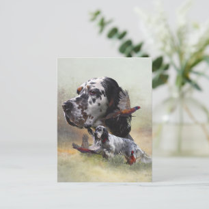 Cartão Postal Setter inglês com faisões, arte