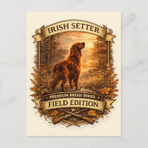 Cartão Postal Setter Irlandês