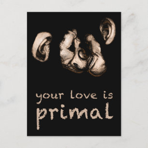 Cartão Postal seu amor é primitivo: beija chimpanzés