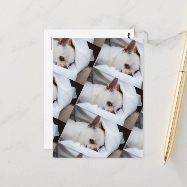 Cartão Postal Seu cachorro de estimação, foto personalizada, pad (Frente/Verso In Situ)