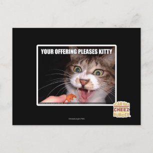 Cartão Postal Seu Gatinho de Prazos de Oferta