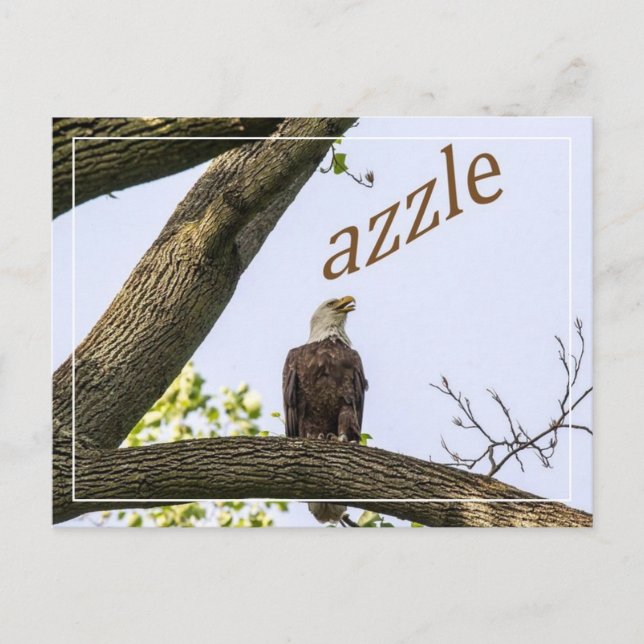 Cartão Postal Seu logotipo aqui (Frente)