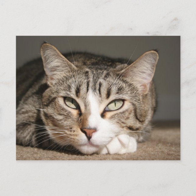 Cartão Postal Seu nome é Ásia (Frente)