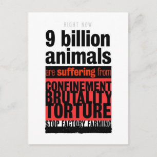 Cartão Postal Seu Sofrimento